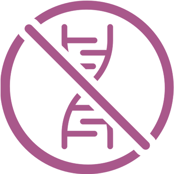 Không biến đổi gen